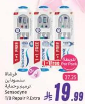 سنستودين ترميم وحمايه