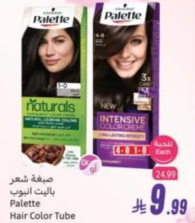 صبغه شعر باليت انيبوب