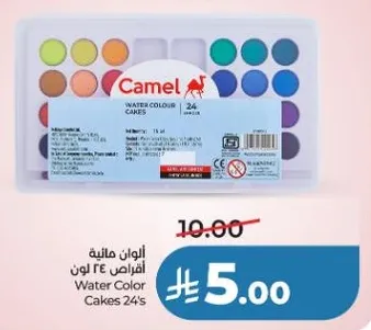 Water Color Cakes 24's