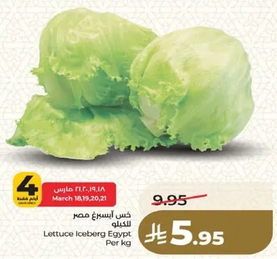 Lettuce Iceberg Egypt Per kg