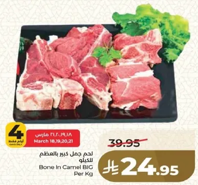 لحم جمل كبير بالعظم