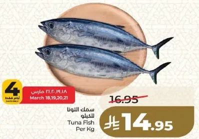 Tuna Fish Per Kg