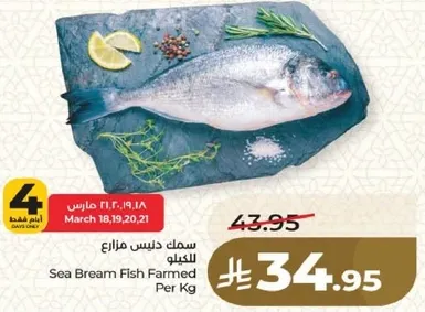 Sea Bream Fish Farmed Per Kg