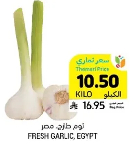ثوم طازج، مصر