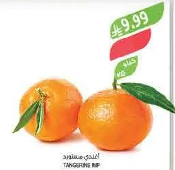 Imported tangerines