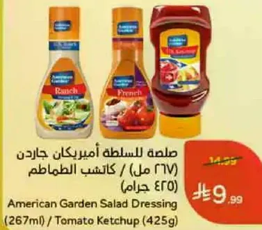 American Garden Salad Dressing (267ml) / Tomato Ketchup (425g)