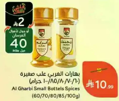 Al Gharbi Small Bottles Spices (60/70/80/85/100g)