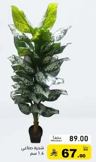 شجره صناعي 1.6 سم.