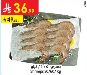 جمبري 50/60 كيلو