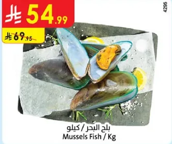 بلح البحر / كيلوجرام