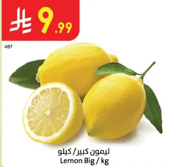 ليمون كبير / كغ