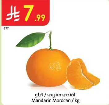 Moroccan Mandarin / kg
