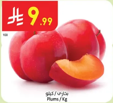 بخاري / كيلو