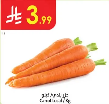 جزز بلدي/كيلو