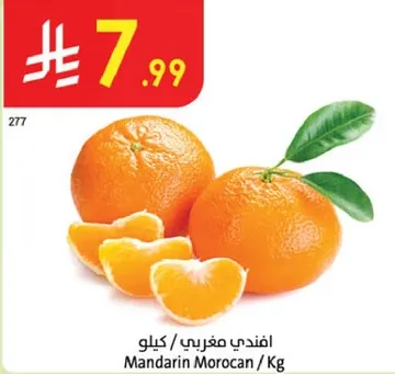 افندي مغربي / كيلو