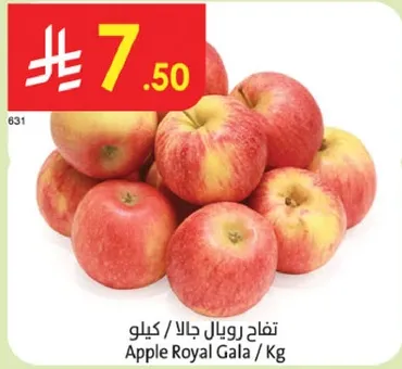 تفاح رويال جالا / كيلو