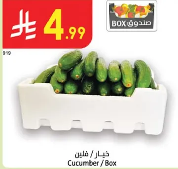 Cucumber / Box