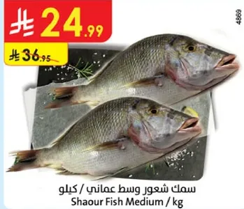 Shaour Fish Medium / kg