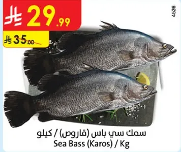 Sea Bass (Karos) / Kg