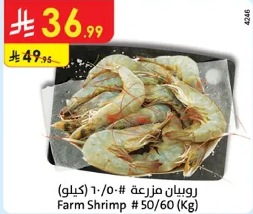 Farm Shrimp # 50/60 (Kg)