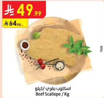 اسكولب بقري / كيلوا