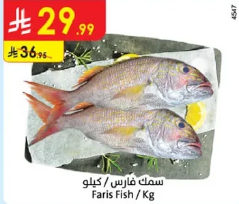 سمك فارس / كيلو