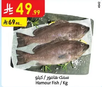Hamour Fish / Kg