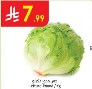 Round Lettuce