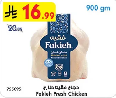 دجاج فقهي طازج