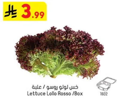 Lettuce Lollo Rosso /Box