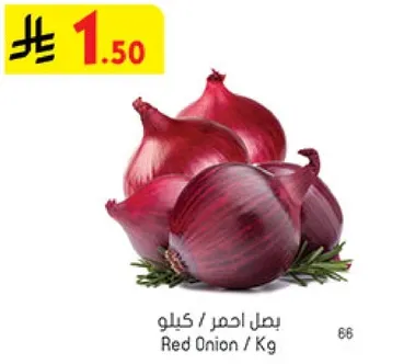 Red Onion / Kg