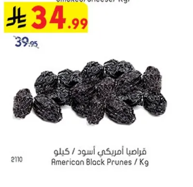 قرصيا امريكي اسود / كيلوا