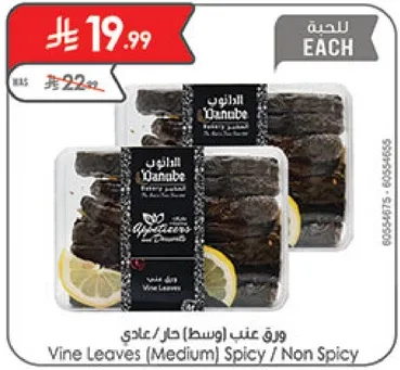 ورق عنب (وسط) حار / عادي