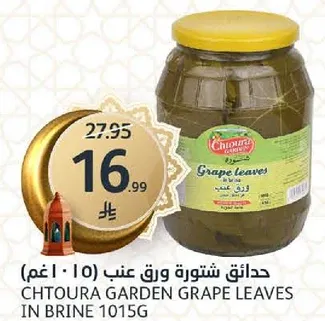 Chtoura Garden Grape Leaves in Brine 1015g