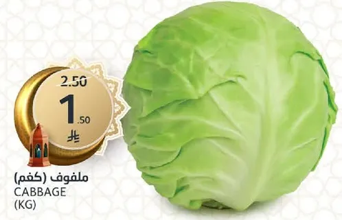 Cabbage (KG)