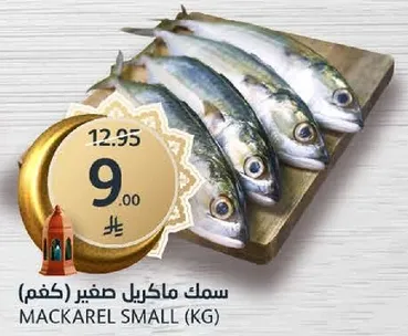 Mackerel small (kg)