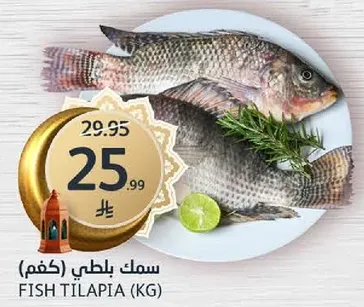 Fish Tilapia (kg)