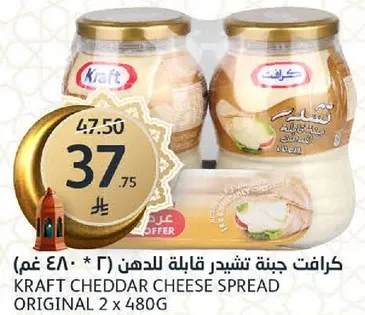 Kraft Cheddar Cheese Spread Original 2 x 480g