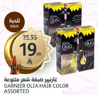 غارنييه صبغه شعر متنوعه