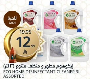 ايكوهوم مطهر و منظف متنوع (3 لتر)