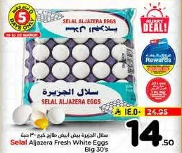 Selal Aljazera Fresh White Eggs Big 30's