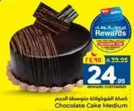 كعكه الشوكولاته متوسطه الحجم.