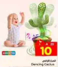 الصبار الراقص