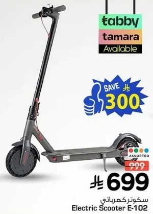 Electric Scooter E-102