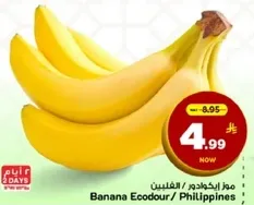 موز ايكودور / الفلبين