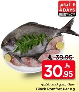 سمك زيدي اسود للكجم