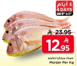 سمك مرجان للكليو