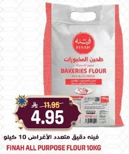 فينه دقيق متعدد الاغراض 10 كيلو