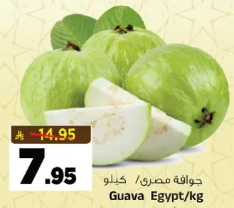 Guava Egypt/kg