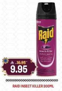 رايد قاتل الحشرات 300 مل